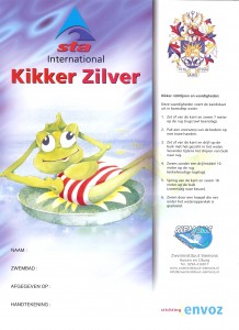 Kikker -zilver